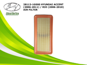 air-filter-28113-1g000