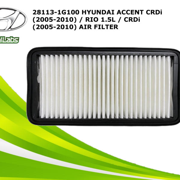 AIR FILTER (28113-1G100)
