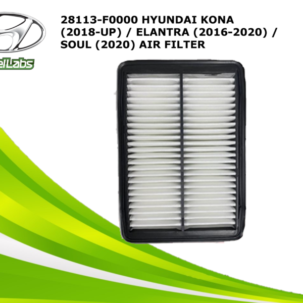 AIR FILTER (28113-F0000)