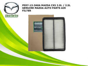 air-filter-pe07-13-3a0a